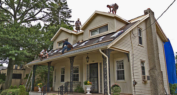 Best Local Roofing Companies  in Rushville, NE
