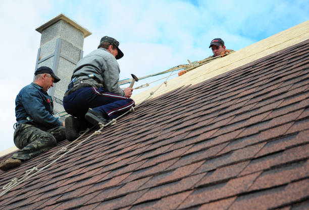 Best Residential Roofing Contractor  in Rushville, NE
