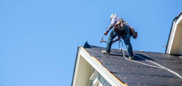 Best Roof Repair Services  in Rushville, NE
